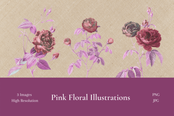 Unlocking Creativity with Vintage Pink Floral Illustrations
